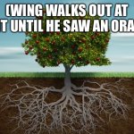 The Curse Of Wing the Hornbat! | (WING WALKS OUT AT NIGHT UNTIL HE SAW AN ORANGE) | image tagged in fruit tree | made w/ Imgflip meme maker
