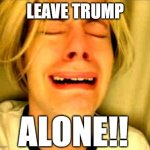 LEAVE TRUMP ALONE | LEAVE TRUMP; ALONE!! | image tagged in leave britney alone | made w/ Imgflip meme maker