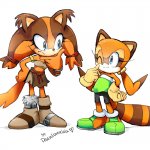 Orange Badger & Raccoon