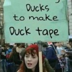 Stop killing ducks | image tagged in duck tape,protester,stop duck killing,animal rights | made w/ Imgflip meme maker
