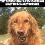 dogs may have a sense of humor. | THEY SAY DOG'S HAVE NO SENSE OF HUMOR
MIGHT THIS CHANGE YOUR MIND | image tagged in fake laugh dog,this tag is not important | made w/ Imgflip meme maker