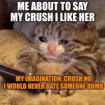 your imagination is the only thing holding you back | ME ABOUT TO SAY MY CRUSH I LIKE HER; MY IMAGINATION: CRUSH:NO I WOULD NEVER DATE SOMEONE DUMB | image tagged in sad cat looking at phone | made w/ Imgflip meme maker