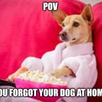 dog eating popcorn | POV; YOU FORGOT YOUR DOG AT HOME | image tagged in dog eating popcorn | made w/ Imgflip meme maker