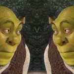 Shrek Stares at Shrek