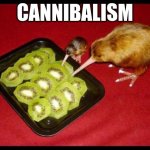 Kiwi birds | CANNIBALISM | image tagged in kiwicannibalism | made w/ Imgflip meme maker