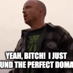 Yeah bitch! i just found the perfect domain name | YEAH, BITCH!  I JUST FOUND THE PERFECT DOMAIN | image tagged in gifs,breaking bad,jesse pinkman | made w/ Imgflip video-to-gif maker