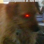 Sorry its blurry my dog gad to move right as I took the picture | Me when the teacher explains the assignment at 100 MPH | image tagged in wha,confused,school,dogs | made w/ Imgflip meme maker