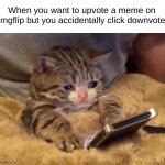 I hate it when that happens. It makes me feel so bad. | When you want to upvote a meme on imgflip but you accidentally click downvote | image tagged in sad cat phone | made w/ Imgflip meme maker