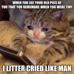 Sad Cat Looking At Phone | WHEN YOU SEE YOUR OLD PICS OF YOU THAT YOU REMEMBRE WHEN YOU WERE TINY; I LITTER CRIED LIKE MAN | image tagged in sad cat looking at phone | made w/ Imgflip meme maker