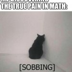 Context: most of my school years were in sped classes and only this year am I getting to understand algebra and crap | ME DISCOVERING THE TRUE PAIN IN MATH: | image tagged in sobbing cat,memes | made w/ Imgflip meme maker