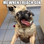 Almost there, like 30 points away! *excited squealing intensifies* | ME WHEN I REACH 40K | image tagged in overly excited pug | made w/ Imgflip meme maker