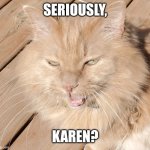 Seriously? | SERIOUSLY, KAREN? | image tagged in seriously karen | made w/ Imgflip meme maker