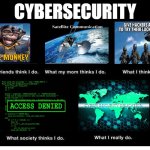Cybersecurity | CYBERSECURITY | image tagged in what people think i do blank | made w/ Imgflip meme maker