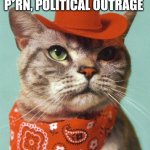 Cowboy Cat | WELCOME TO THE INTERNET. WE HAVE P*RN, POLITICAL OUTRAGE; AND CATS! | image tagged in cowboy cat | made w/ Imgflip meme maker