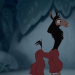 Kuzco as a Llama