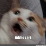 add to cart cat