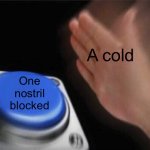 I HATE IT | A cold; One nostril blocked | image tagged in button | made w/ Imgflip meme maker