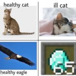 healthy cat ill cat | image tagged in healthy cat ill cat,minecraft | made w/ Imgflip meme maker
