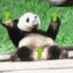 upvote panda GIF Template