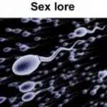 Sex lore