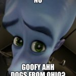 mega ass mind | NO; GOOFY AHH DOGS FROM OHIO? | image tagged in megamind sad face,megamind no bitches | made w/ Imgflip meme maker
