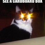 target aquired | CATS WHEN THEY SEE A CARDBOARD BOX | image tagged in target aquired | made w/ Imgflip meme maker