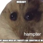 hampter | NOBODY:; hampter; MY BRAIN WHEN MY PARENTS ARE SHOUTING AT ME: | image tagged in hampter,parents,comedy | made w/ Imgflip meme maker
