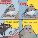 ):< | Oh this song sounds good; Wha; *sings lyrics*; *Sings More Lyrics*; My Sister | image tagged in annoying crow | made w/ Imgflip meme maker