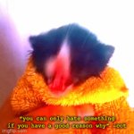 da cot moment | “you can only hate something if you have a good reason why” -cot | image tagged in gifs,cat,fun fact | made w/ Imgflip video-to-gif maker