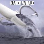 banana whale | NANER WHALE | image tagged in banana whale,funny memes | made w/ Imgflip meme maker