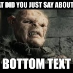 age of men | BRO WHAT DID YOU JUST SAY ABOUT MY MOM; BOTTOM TEXT | image tagged in age of men | made w/ Imgflip meme maker