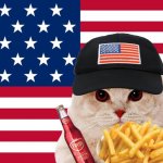 America cat
