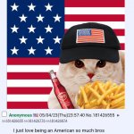 America cat meme