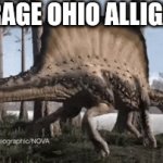 Ohio you scary | AVERAGE OHIO ALLIGATOR | image tagged in gifs,funny | made w/ Imgflip video-to-gif maker