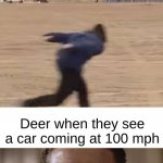Area 51 runner | Deer when they hear a leaf from 100 miles away; Deer when they see a car coming at 100 mph | image tagged in area 51 runner,patrick bateman,smellydive | made w/ Imgflip meme maker