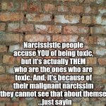 Narcissistic People | Narcissistic people accuse YOU of being toxic, but it's actually THEM who are the ones who are toxic. And, it's because of their malignant narcissim that they cannot see that about themselves.
  ...just sayin | image tagged in brick wall,malignant narcissism | made w/ Imgflip meme maker