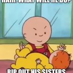 Caillou pinching baby Rosie | CAILLOU HAS NO HAIR. WHAT WILL HE DO? RIP OUT HIS SISTERS AND GLUE IT TO HIS HEAD | image tagged in caillou pinching baby rosie | made w/ Imgflip meme maker