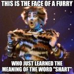 Cats | THIS IS THE FACE OF A FURRY; WHO JUST LEARNED THE MEANING OF THE WORD "SHART" | image tagged in cats | made w/ Imgflip meme maker