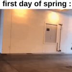 They enter my nose like: | Allergies on the first day of spring : | image tagged in gifs,memes,funny,relatable,allergies,front page plz | made w/ Imgflip video-to-gif maker