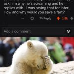 Baby Polar Bear Facepalm | UGH... | image tagged in baby polar bear facepalm | made w/ Imgflip meme maker