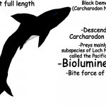 The Cryptic Bestiary Black Demon Shark