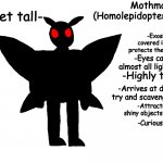The Cryptic Bestiary Mothman Profile