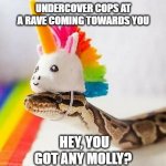 Snake with Unicorn Hat | UNDERCOVER COPS AT A RAVE COMING TOWARDS YOU; HEY, YOU GOT ANY MOLLY? | image tagged in snake with unicorn hat | made w/ Imgflip meme maker