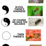 Yin and Yang | image tagged in yin and yang | made w/ Imgflip meme maker
