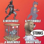 Aware wolf | stonks | image tagged in aware wolf | made w/ Imgflip meme maker