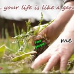 The Perfect Garden | When your life is like a garden... me; Poor
people | image tagged in the perfect garden,poor people,poor choices,upgraded to perfection,ten,these hands | made w/ Imgflip meme maker