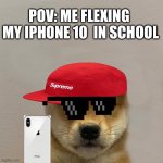 Dog With Hat | POV: ME FLEXING  MY IPHONE 10  IN SCHOOL | image tagged in dog with hat | made w/ Imgflip meme maker