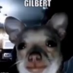 Gilbert