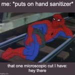 Sexy Railroad Spiderman | me: *puts on hand sanitizer*; that one microscopic cut I have:
hey there | image tagged in memes,sexy railroad spiderman,spiderman | made w/ Imgflip meme maker