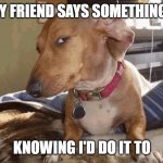 side eye | WHEN MY FRIEND SAYS SOMETHING ILLEGAL; KNOWING I'D DO IT TO | image tagged in memes | made w/ Imgflip meme maker